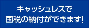 国税局　キャッシュレス納税