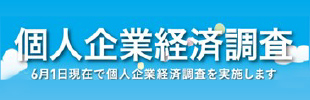 個人企業経済調査